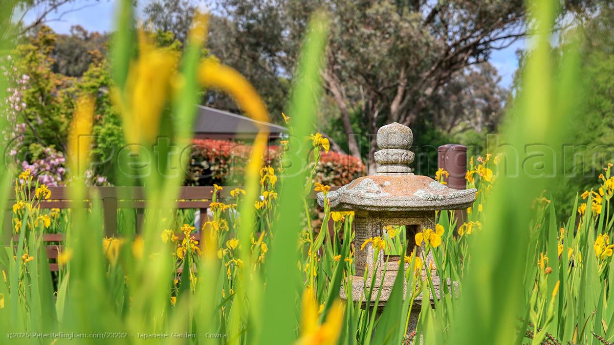 Peter Bellingham Photography Japanese Garden - Cowra